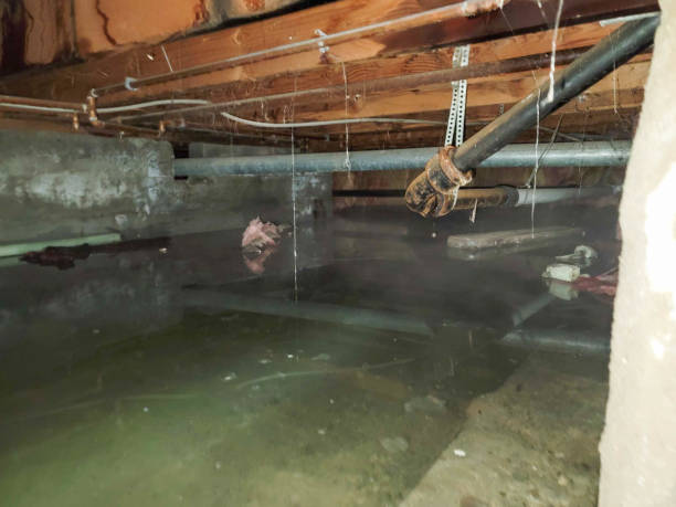 Best Basement water damage restoration  in North Fair Oaks, CA