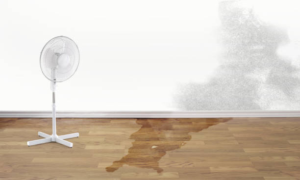 Best Carpet water damage restoration  in North Fair Oaks, CA