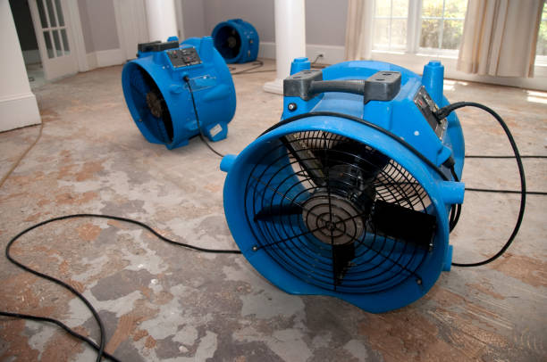 Best Water damage restoration near me  in North Fair Oaks, CA