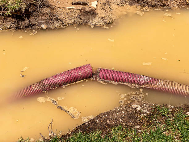Best Professional water damage repair  in North Fair Oaks, CA
