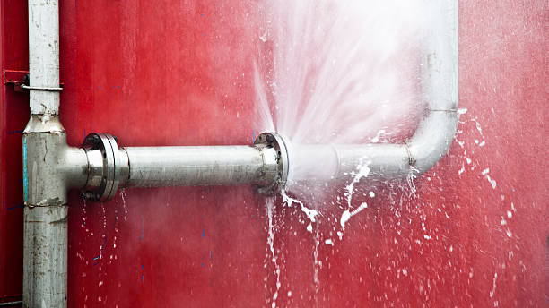 Best Mold removal after water damage  in North Fair Oaks, CA